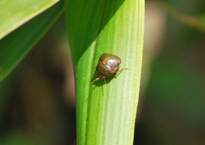 f:id:shinsyu7:20120503101230j:image:w640