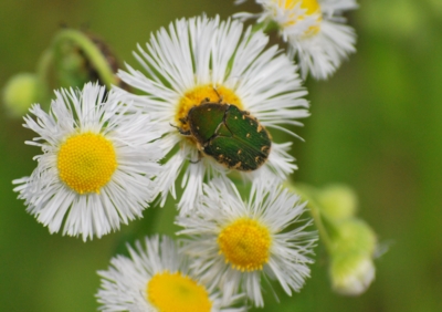 f:id:shinsyu7:20120518140503j:image:w500 f:id:shinsyu7:20120518140503j:image:w500