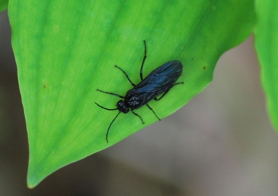 f:id:shinsyu7:20120518140533j:image:w500 f:id:shinsyu7:20120518140533j:image:w500