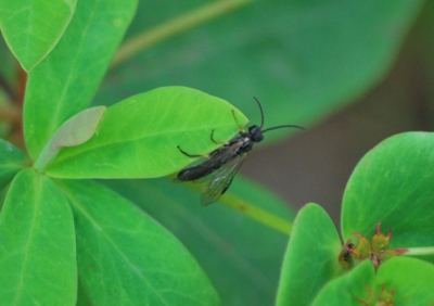 f:id:shinsyu7:20120518140613j:image:w500 f:id:shinsyu7:20120518140613j:image:w500