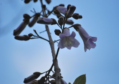 f:id:shinsyu7:20120518140737j:image:w500 f:id:shinsyu7:20120518140737j:image:w500