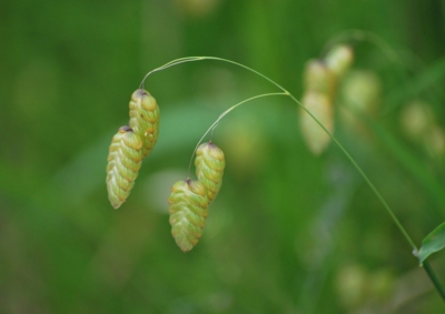 f:id:shinsyu7:20120518140840j:image:w500 f:id:shinsyu7:20120518140840j:image:w500