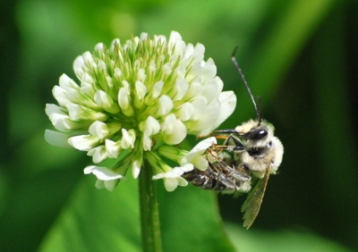 f:id:shinsyu7:20120524175514j:image:w500