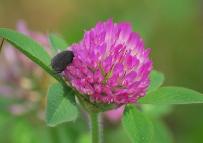 f:id:shinsyu7:20120524175655j:image:w500