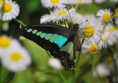 f:id:shinsyu7:20120524175804j:image:w500