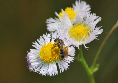 f:id:shinsyu7:20120524175828j:image:w500