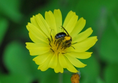 f:id:shinsyu7:20120524190954j:image:w500