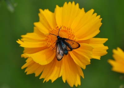 f:id:shinsyu7:20120524191239j:image:w500