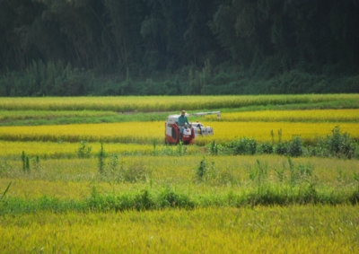 f:id:shinsyu7:20120901112846j:image:w640