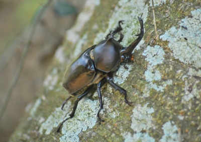 f:id:shinsyu7:20120901114549j:image:w640