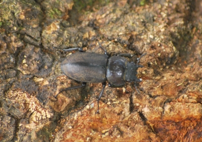 f:id:shinsyu7:20120901114630j:image:w640