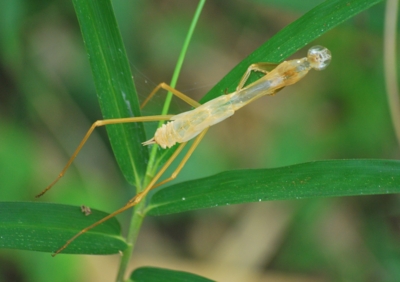 f:id:shinsyu7:20120901115201j:image:w640