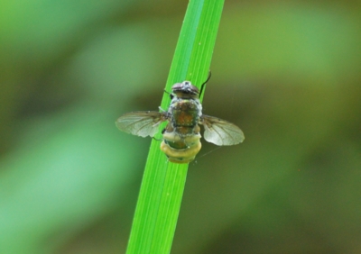 f:id:shinsyu7:20120901115221j:image:w640