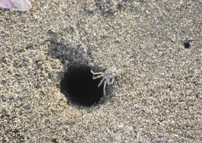 f:id:shinsyu7:20120918125306j:image:w511 f:id:shinsyu7:20120918125306j:image:w511