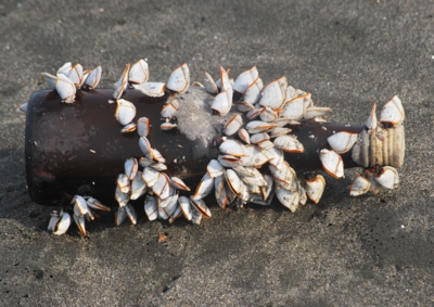 f:id:shinsyu7:20120918125316j:image:w511 f:id:shinsyu7:20120918125316j:image:w511