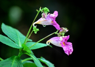 f:id:shinsyu7:20120928142713j:image:w640