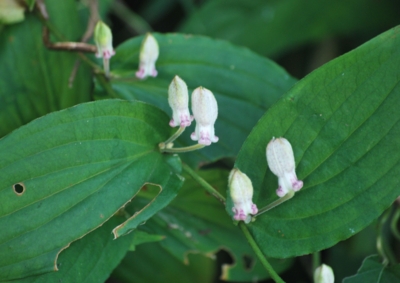 f:id:shinsyu7:20120928142936j:image:w640