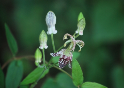 f:id:shinsyu7:20120928142947j:image:w640