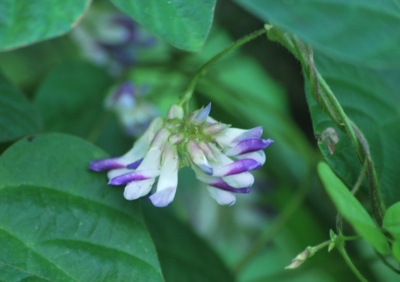 f:id:shinsyu7:20120928143530j:image:w640