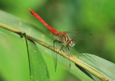 f:id:shinsyu7:20120928143639j:image:w640