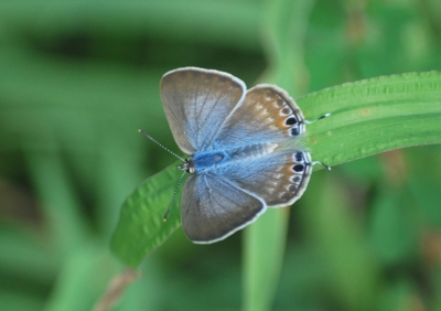 f:id:shinsyu7:20120928143733j:image:w640