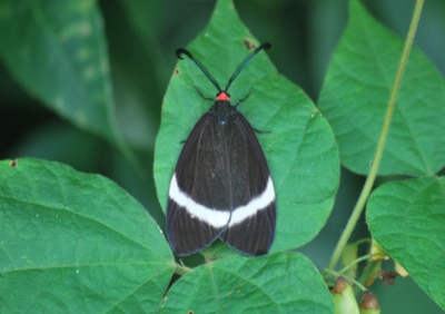 f:id:shinsyu7:20120928143947j:image:w640