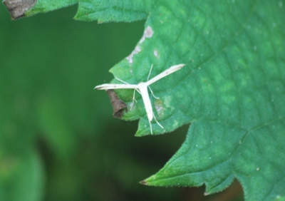 f:id:shinsyu7:20120928144333j:image:w640