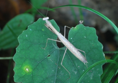 f:id:shinsyu7:20120928144400j:image:w640