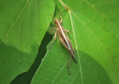 f:id:shinsyu7:20120928144444j:image:w640