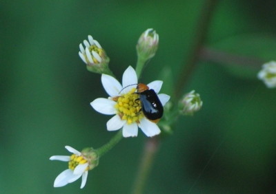 f:id:shinsyu7:20120928144534j:image:w640