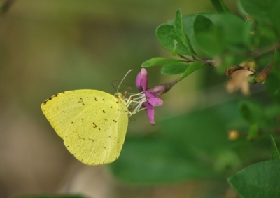 f:id:shinsyu7:20121123153430j:image:w640