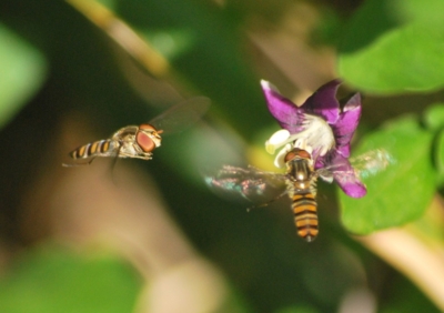f:id:shinsyu7:20121123153920j:image:w640