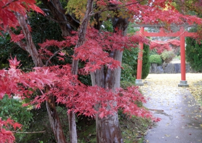 f:id:shinsyu7:20121205111636j:image:w640