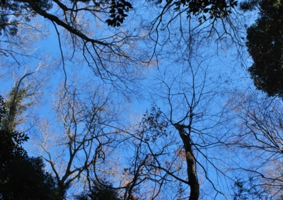 f:id:shinsyu7:20121215154051j:image:w640