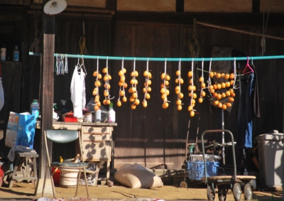 f:id:shinsyu7:20121215155036j:image:w640