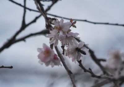 f:id:shinsyu7:20121215155354j:image:w640