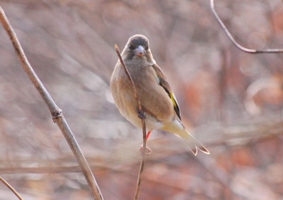 f:id:shinsyu7:20121224145006j:image:w640
