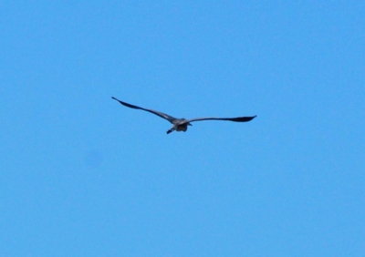 f:id:shinsyu7:20121230112134j:image:w640