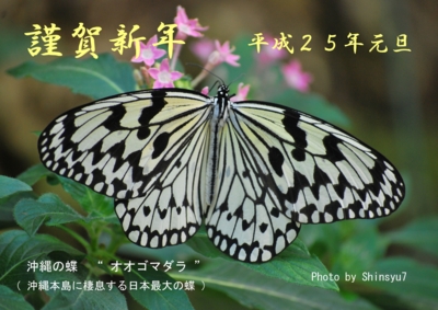 f:id:shinsyu7:20130111144401j:image:w640