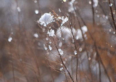 f:id:shinsyu7:20130118130428j:image:w640