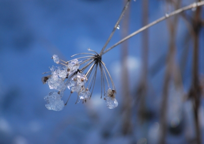 f:id:shinsyu7:20130118130439j:image:w640