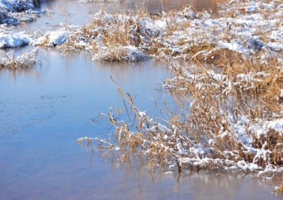 f:id:shinsyu7:20130118130449j:image:w640
