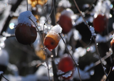 f:id:shinsyu7:20130118130524j:image:w640