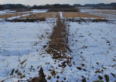 f:id:shinsyu7:20130118131112j:image:w640