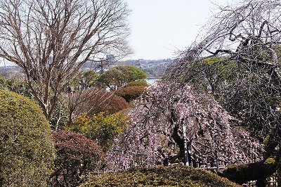 f:id:shintabi:20140316182752j:image f:id:shintabi:20140316182752j:image