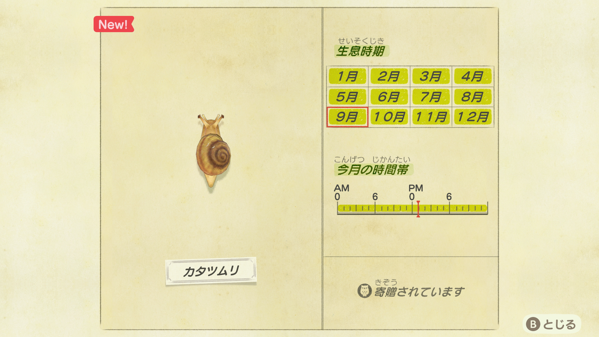 あつ森 カタツムリ の出現場所 条件 使い道まとめ あつまれどうぶつの森 ゲーマーズハイ 最新ゲーム攻略data Base