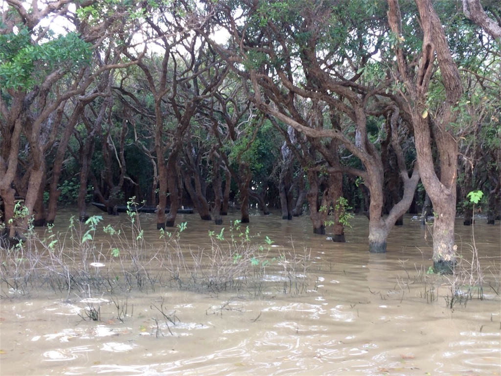 f:id:shinuyaru:20161228011324j:image