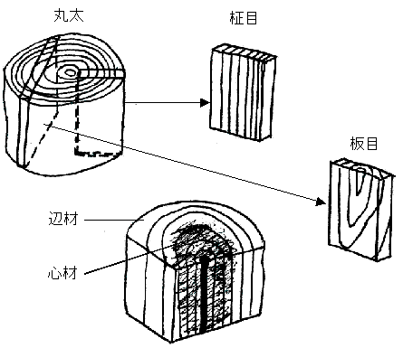 kidori