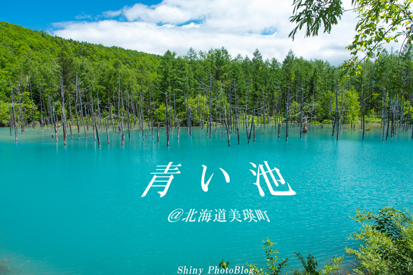 f:id:shiny1793:20170615221058j:plain f:id:shiny1793:20170615221058j:plain
