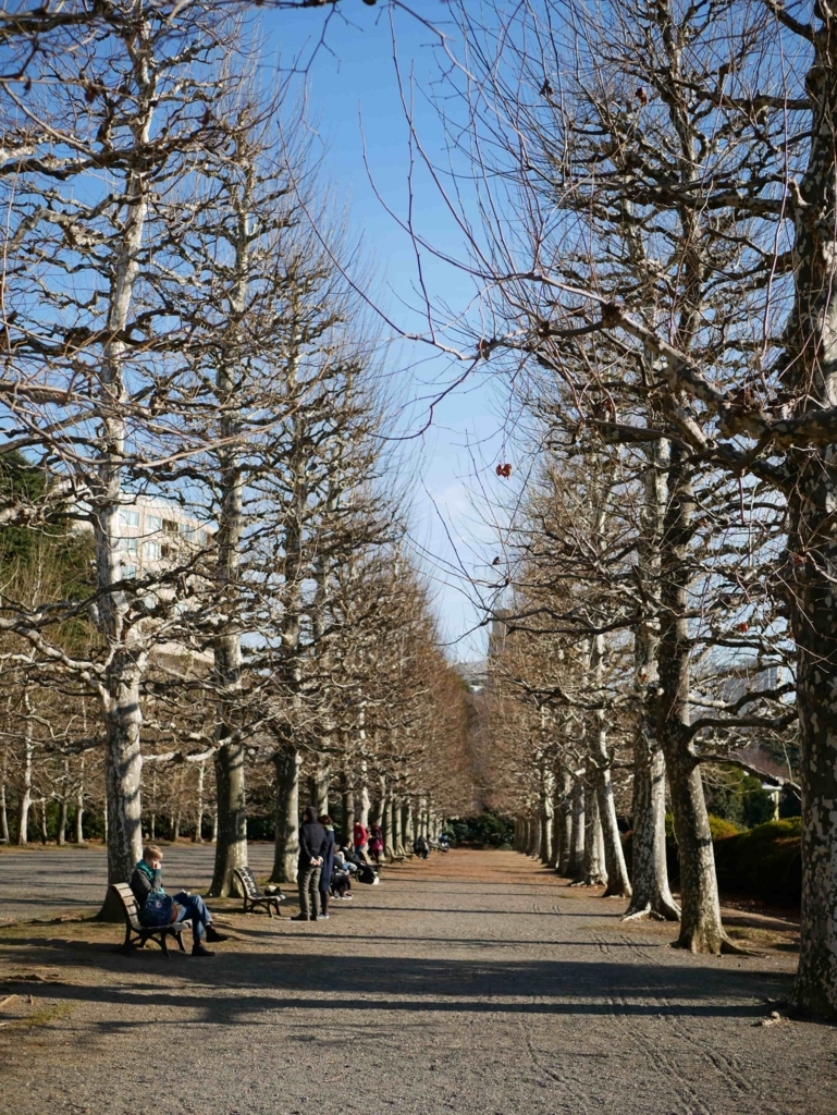 f:id:shinya-no-ringosawagi:20180506124737j:plain f:id:shinya-no-ringosawagi:20180506124737j:plain